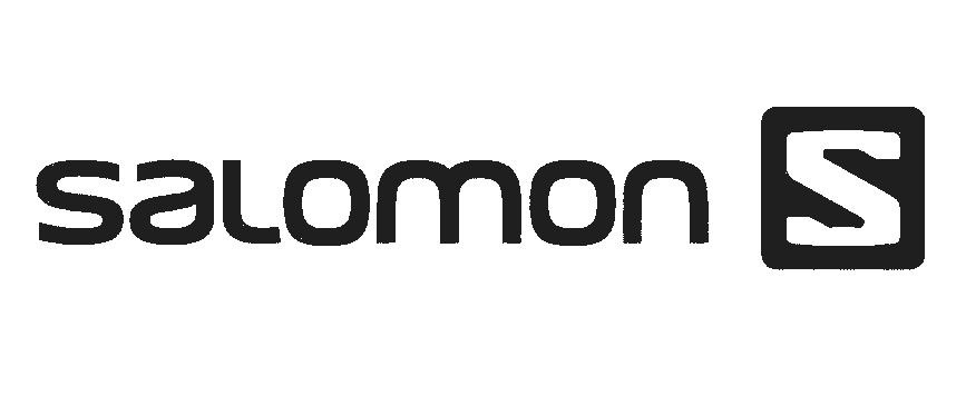 logo salomon